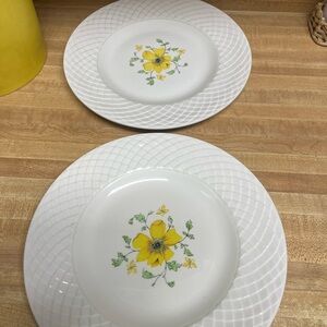 Set of 2 Enoch Wedgewood Jaqueline design dinner plates